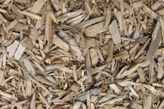 biomass boilers Catlodge